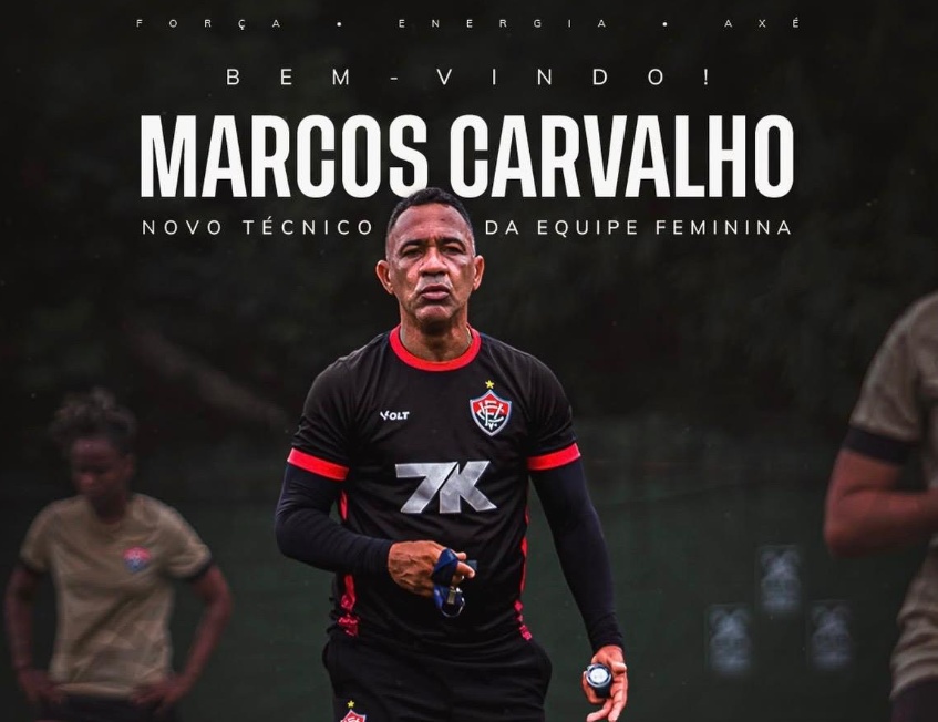 image para ilustrar o artigo