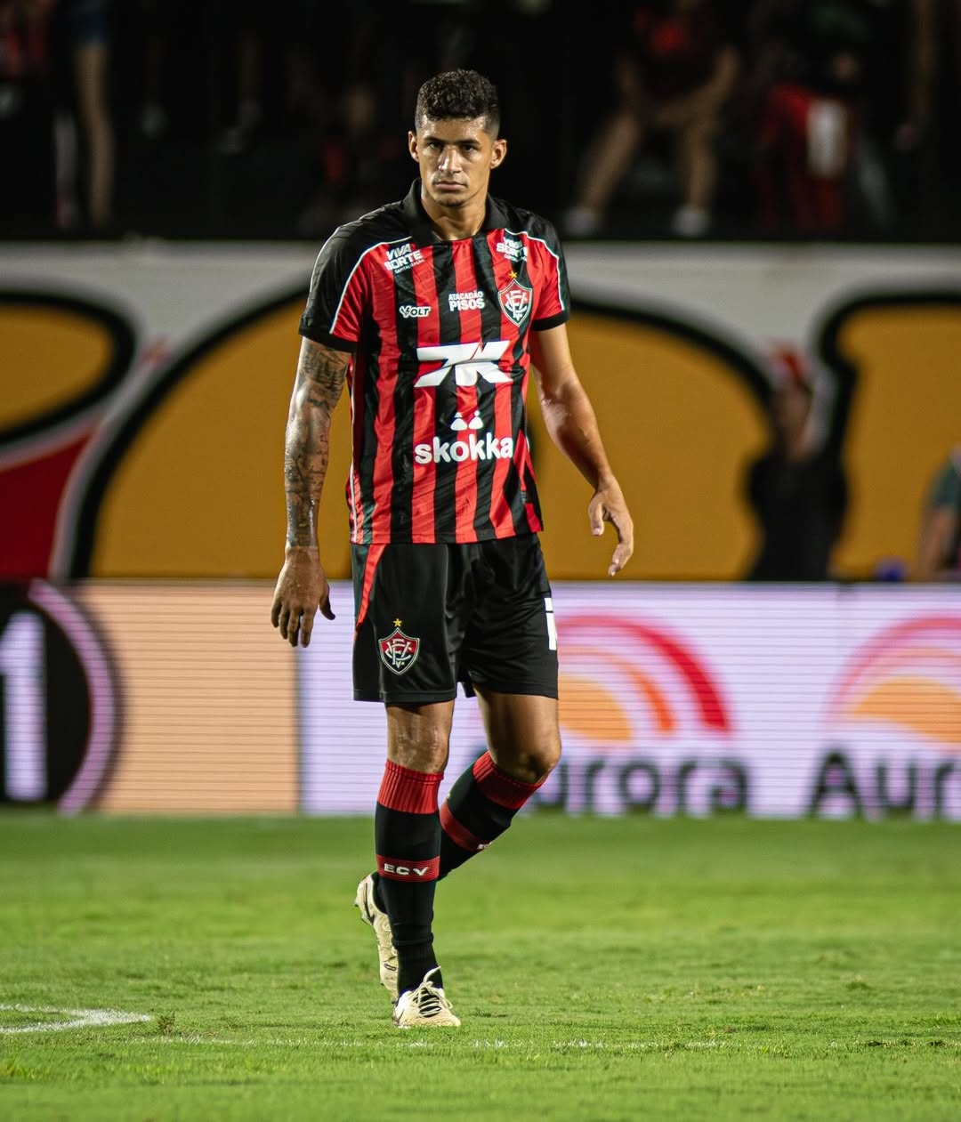 image para ilustrar o artigo