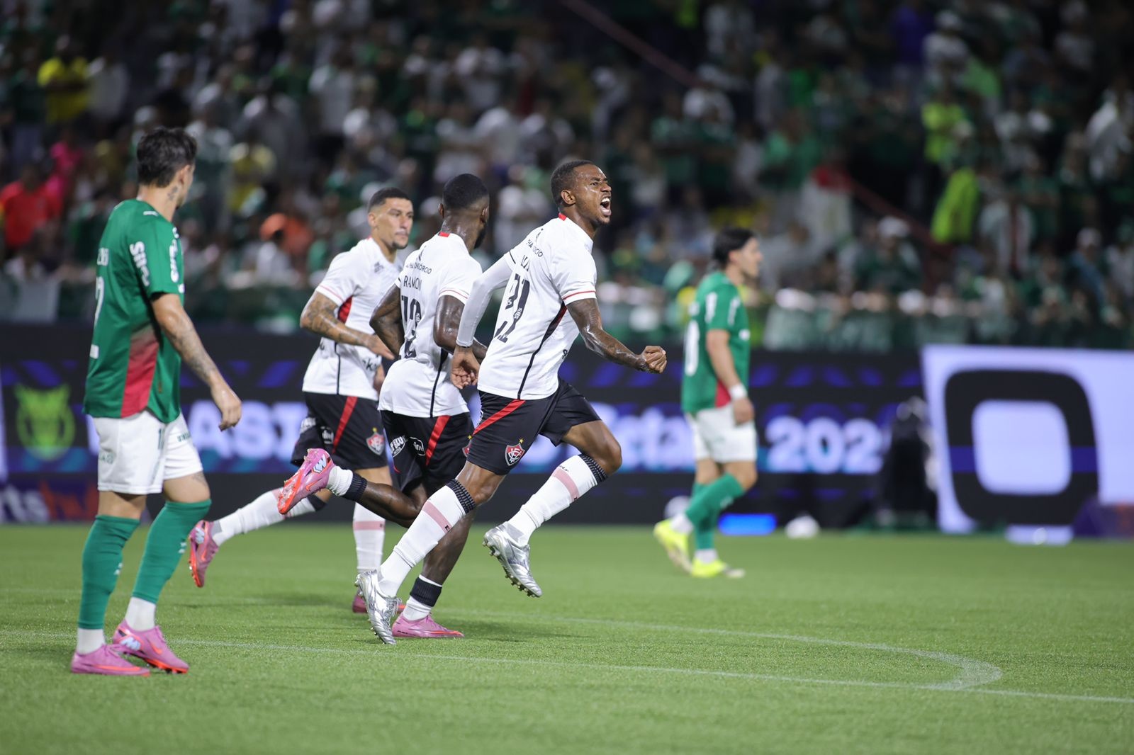 image para ilustrar o artigo