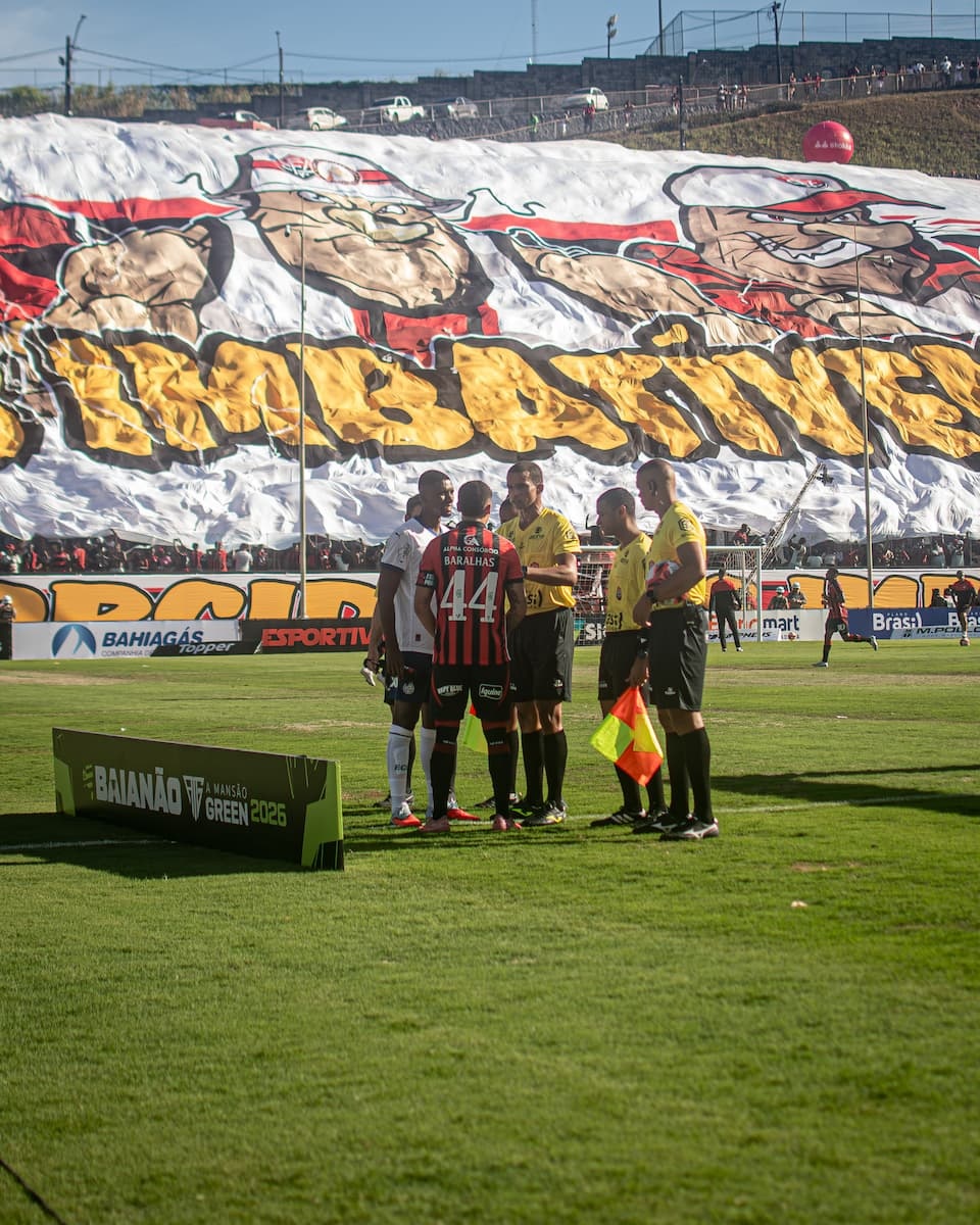 image para ilustrar o artigo