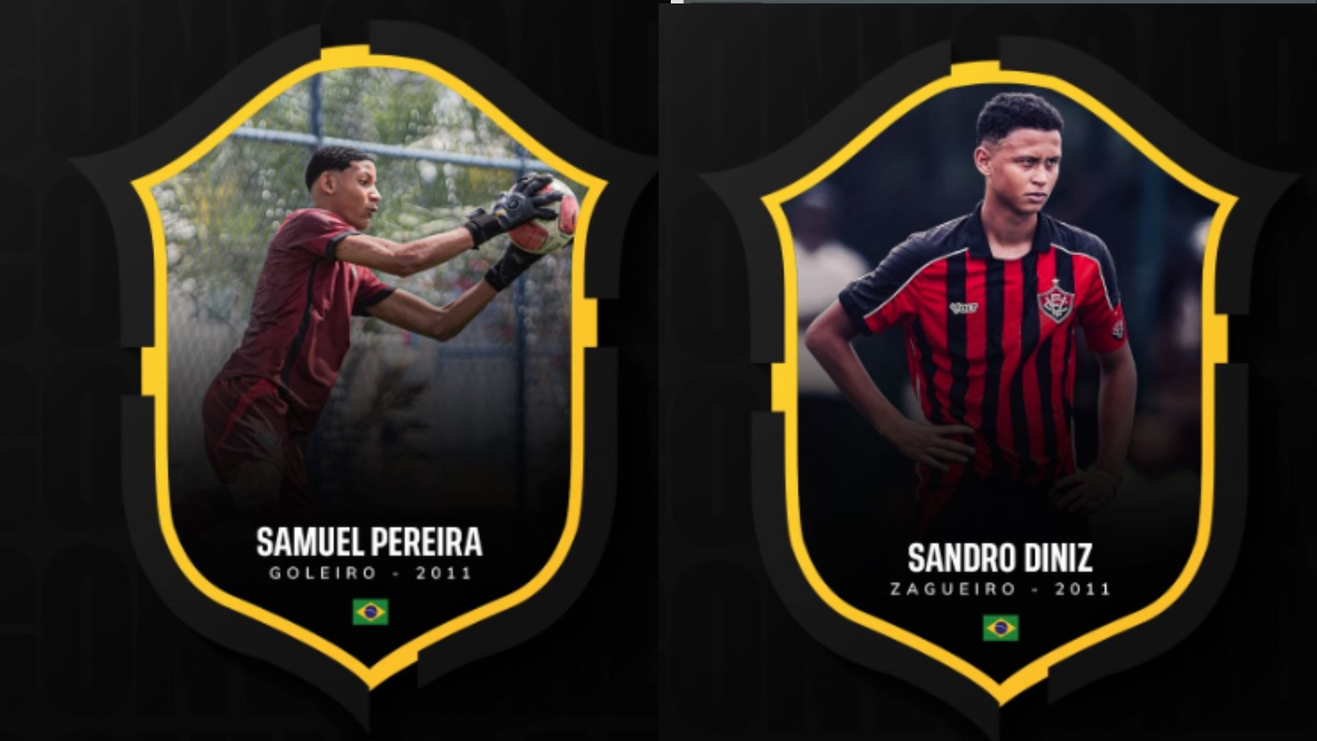 image para ilustrar o artigo