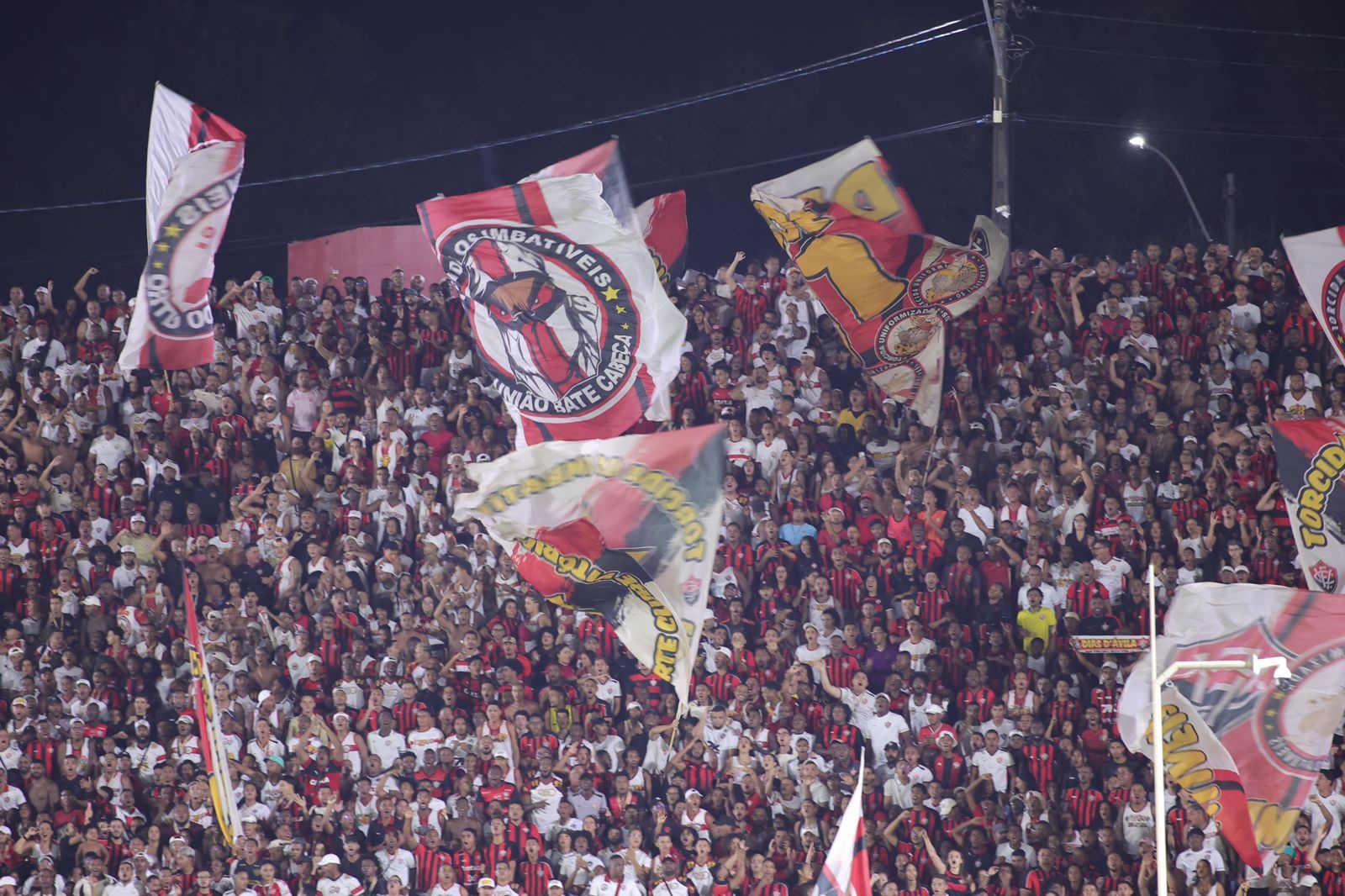 image para ilustrar o artigo