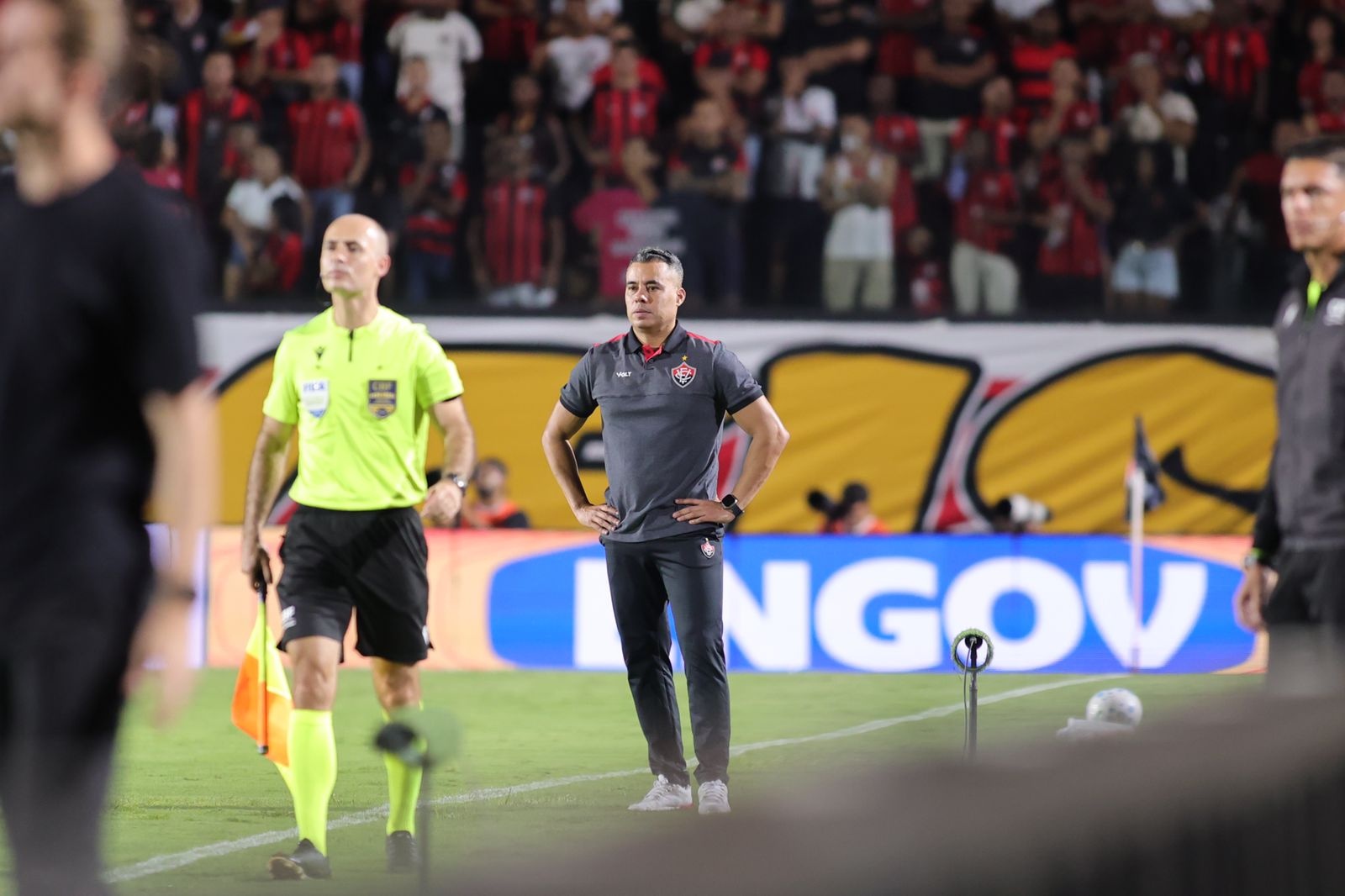 image para ilustrar o artigo