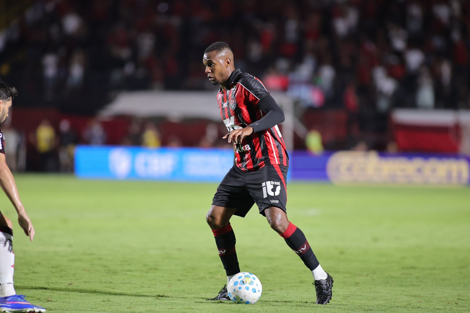 image para ilustrar o artigo