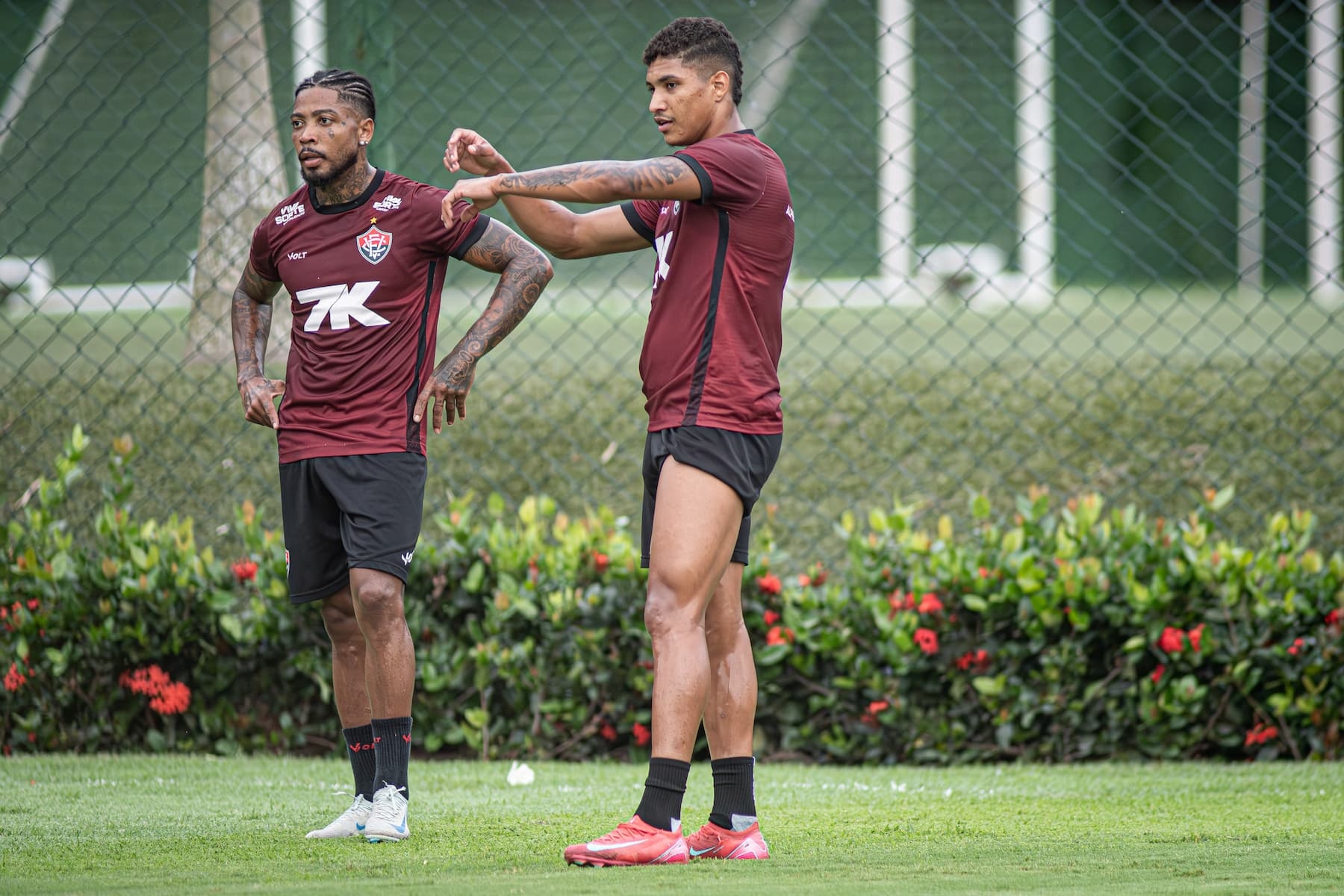 image para ilustrar o artigo