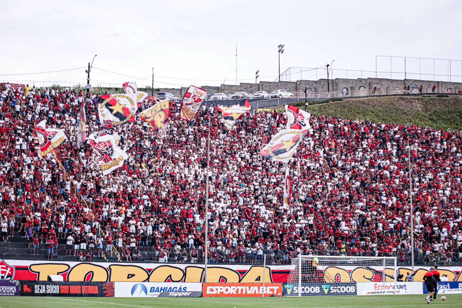 image para ilustrar o artigo