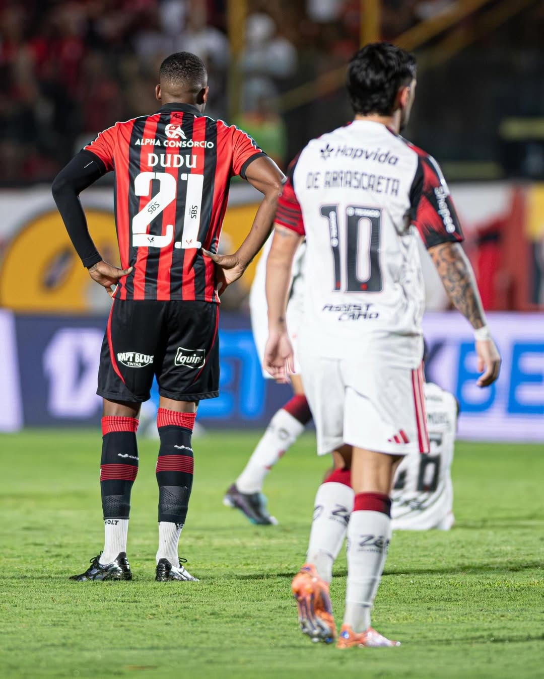 image para ilustrar o artigo