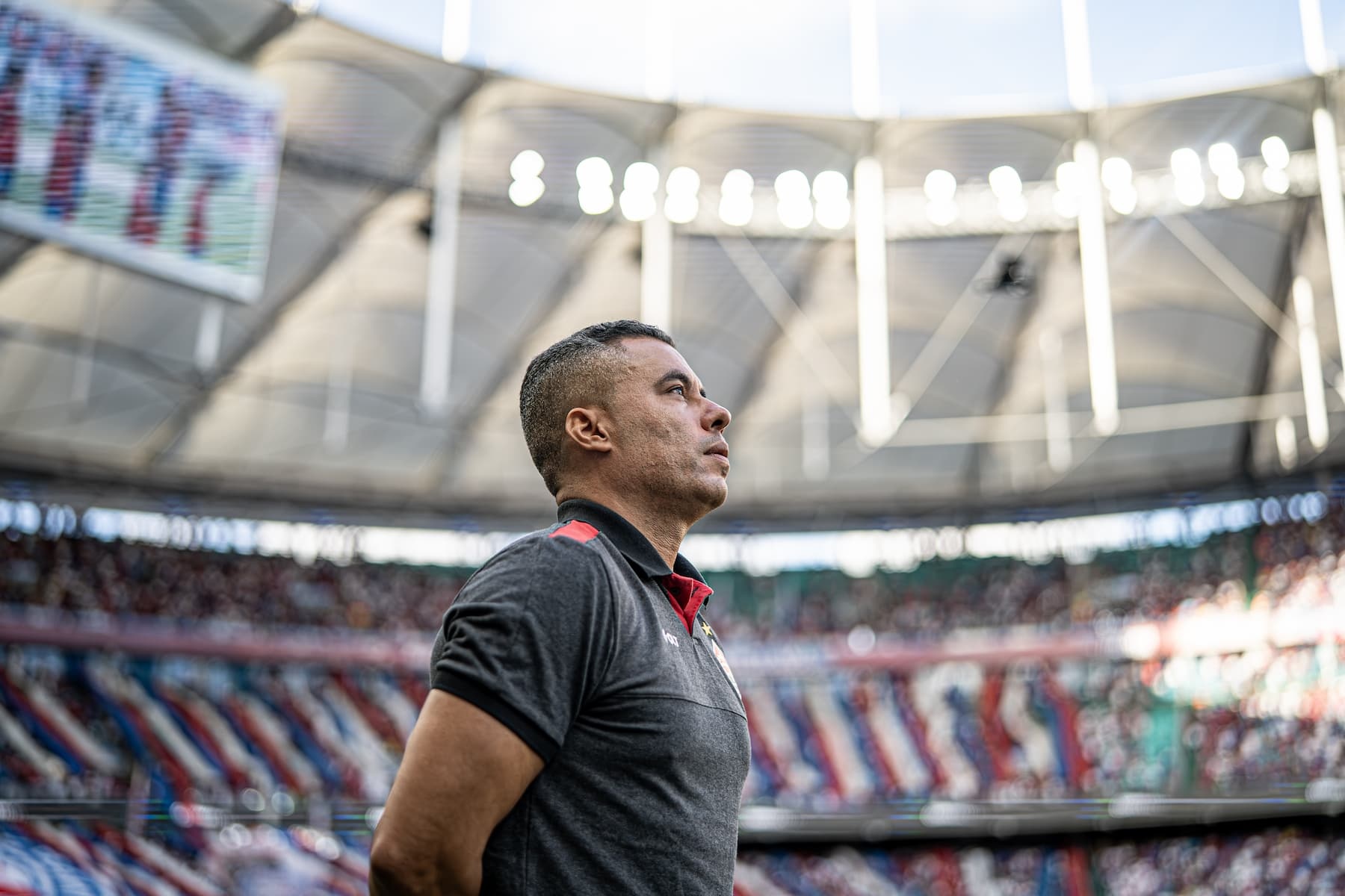 image para ilustrar o artigo