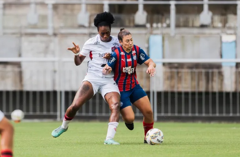 image para ilustrar o artigo