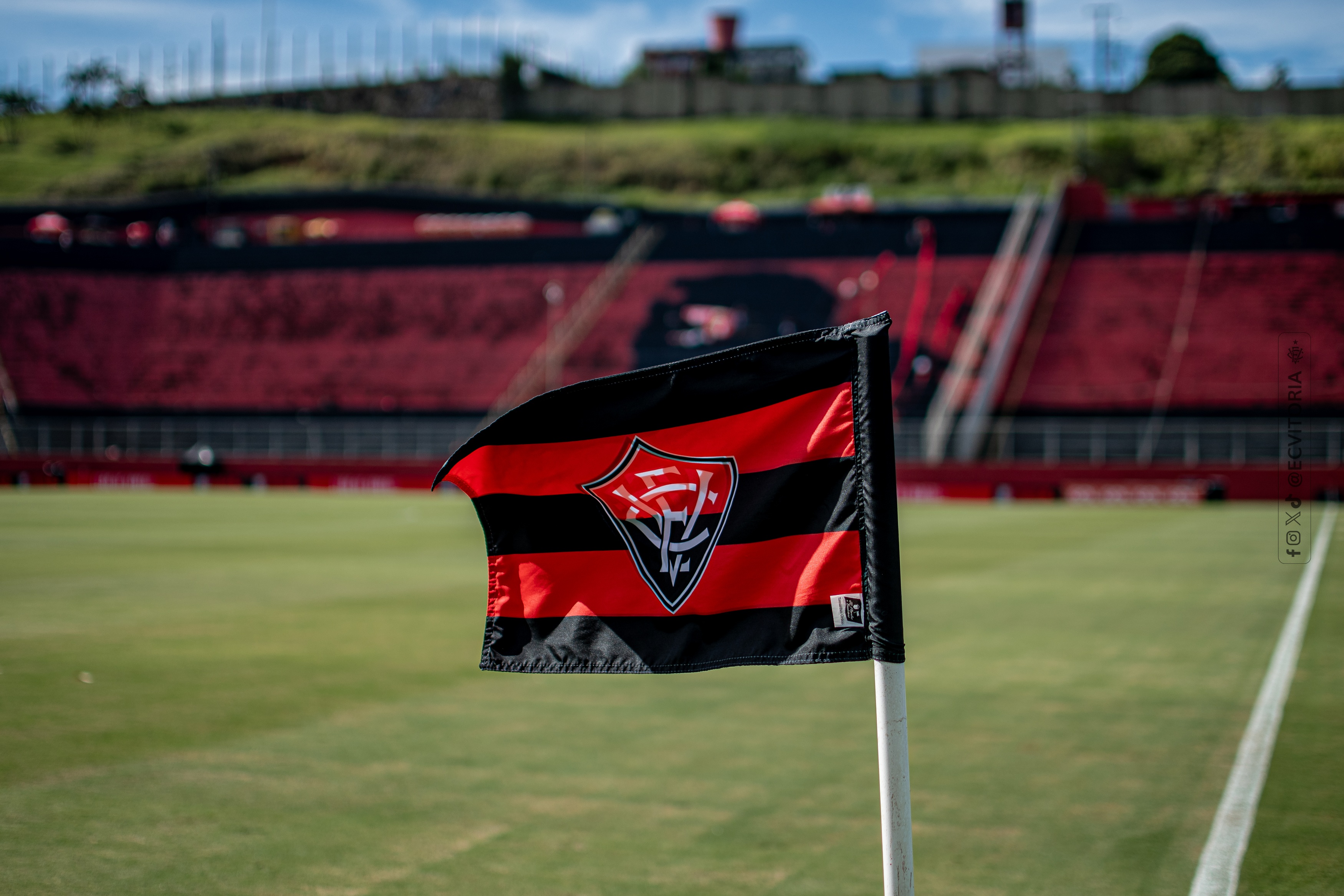 image para ilustrar o artigo