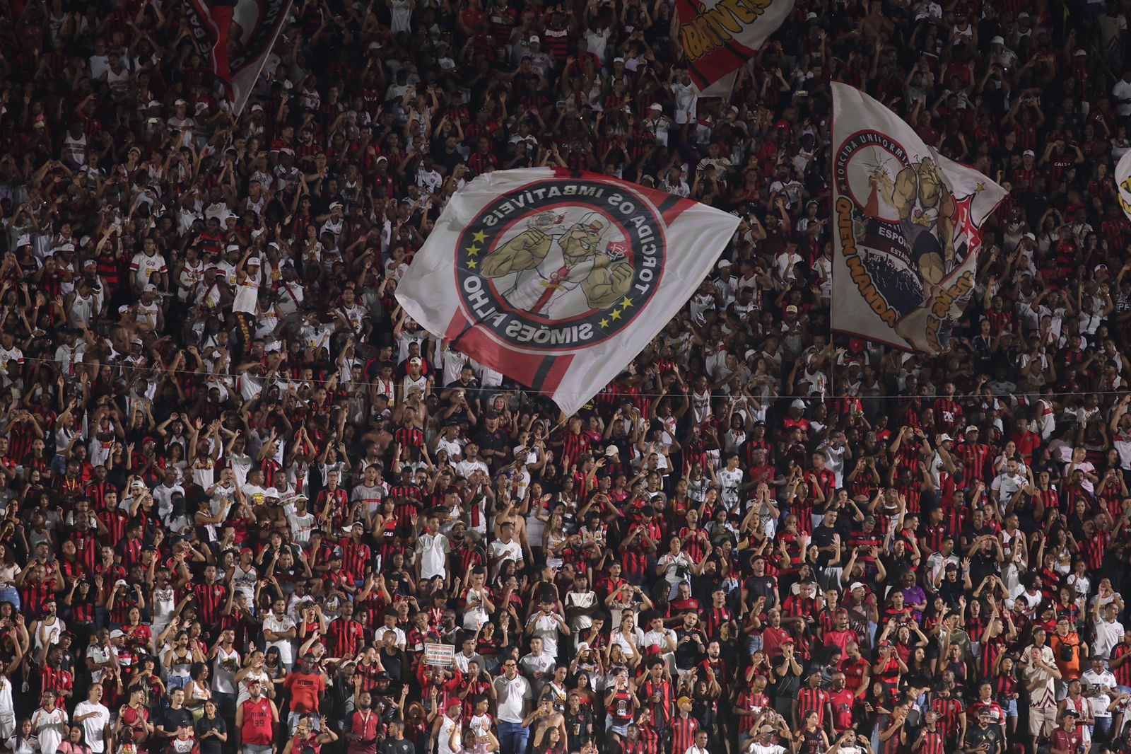 image para ilustrar o artigo