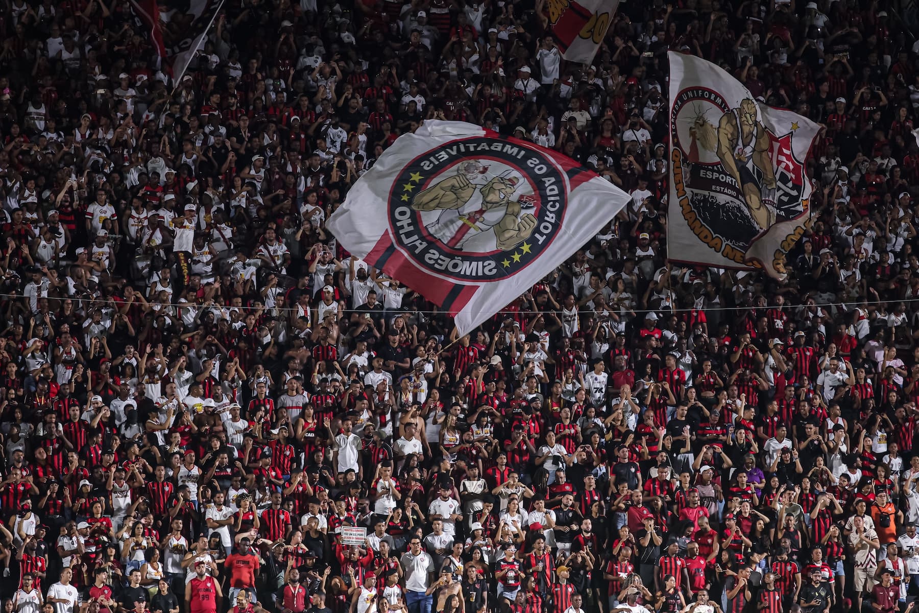 image para ilustrar o artigo