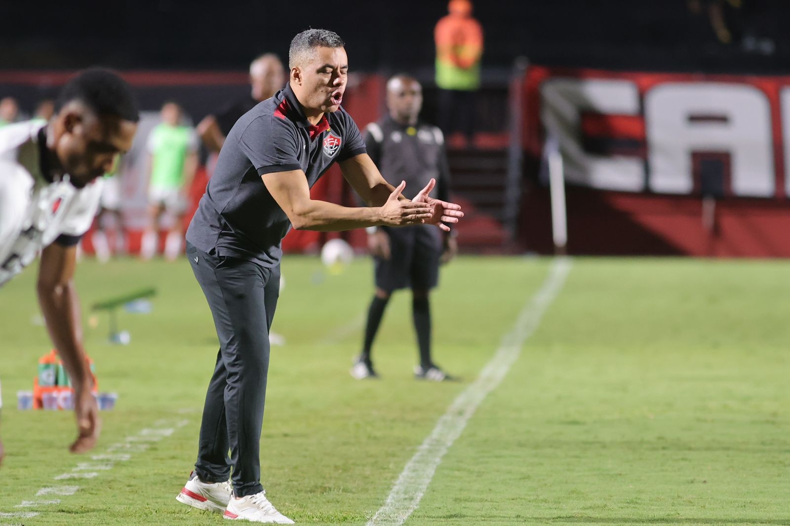 image para ilustrar o artigo