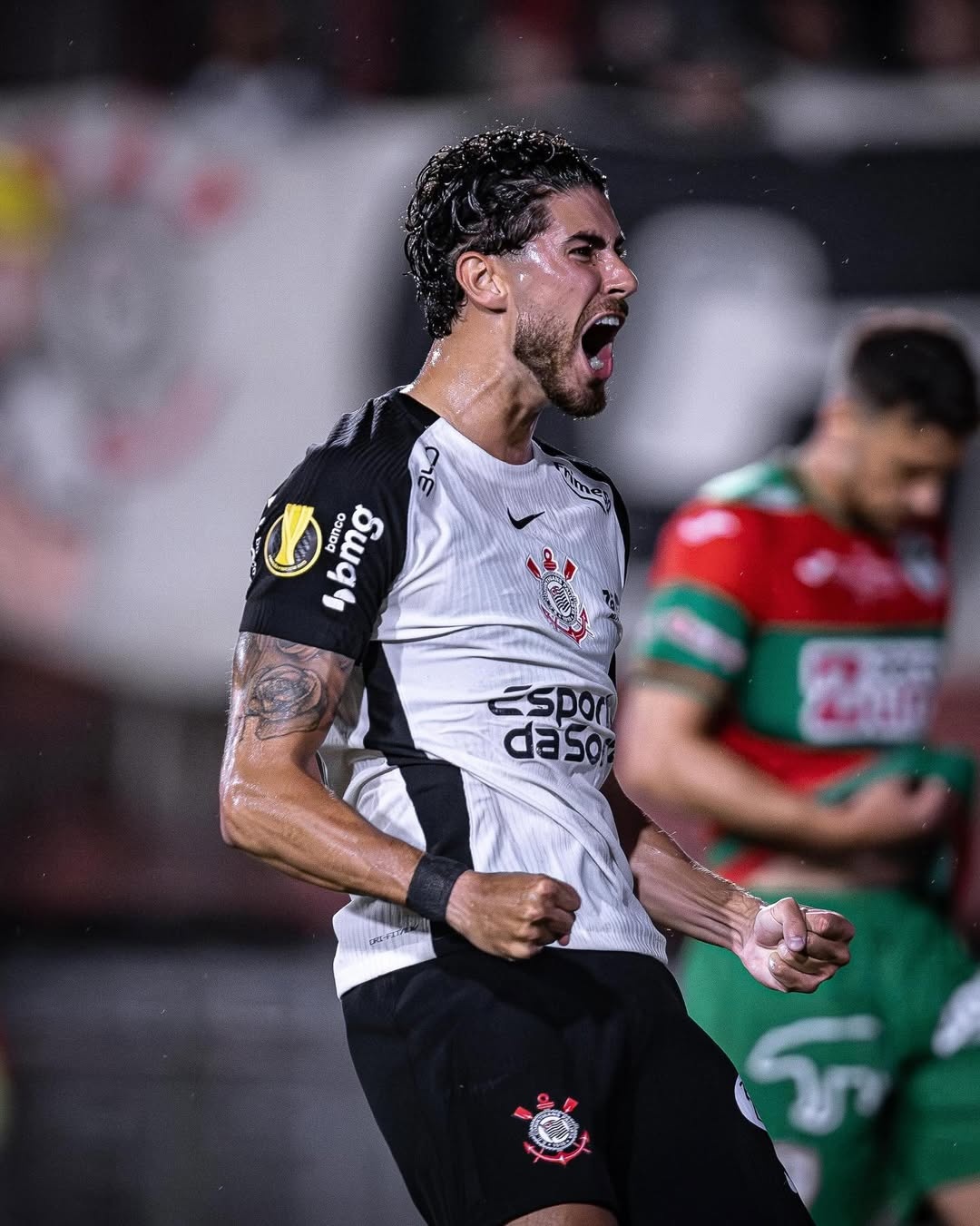 image para ilustrar o artigo