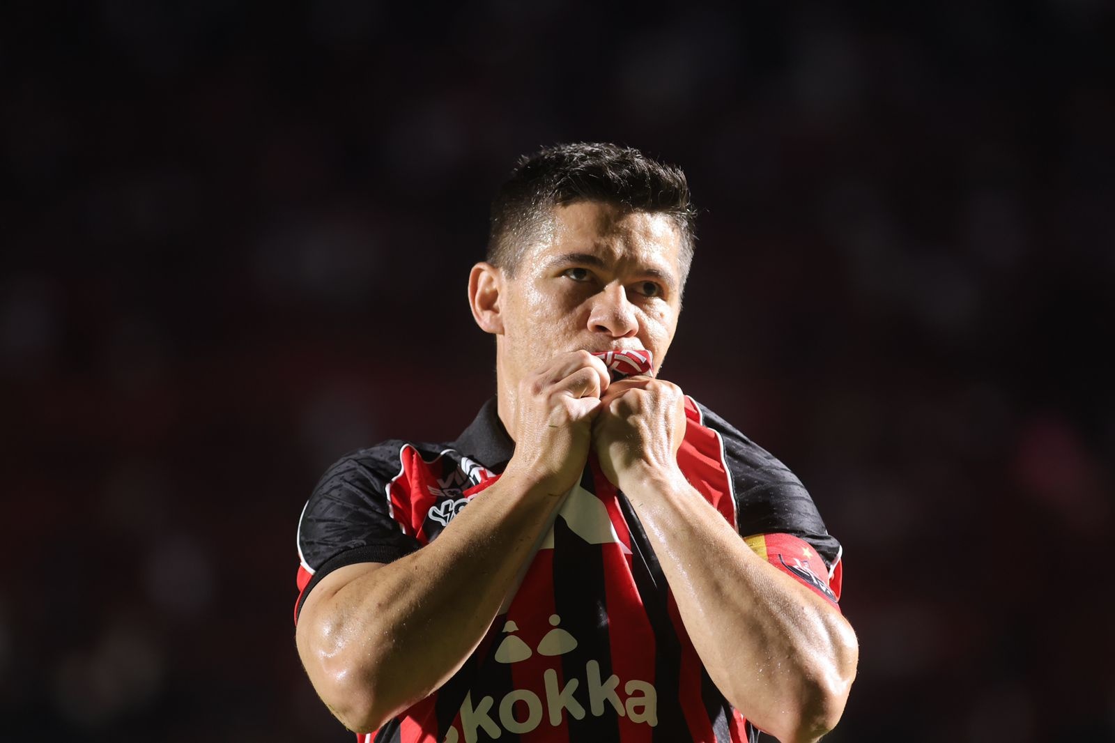 image para ilustrar o artigo