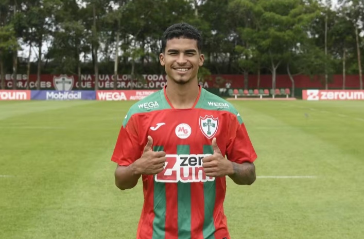 image para ilustrar o artigo