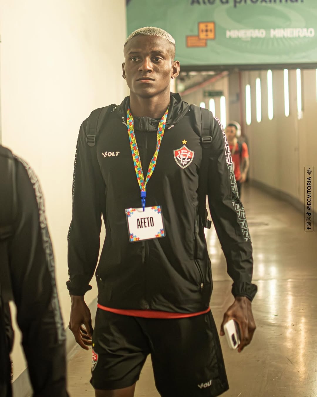 image para ilustrar o artigo