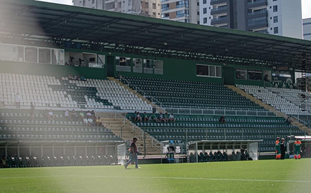 image para ilustrar o artigo