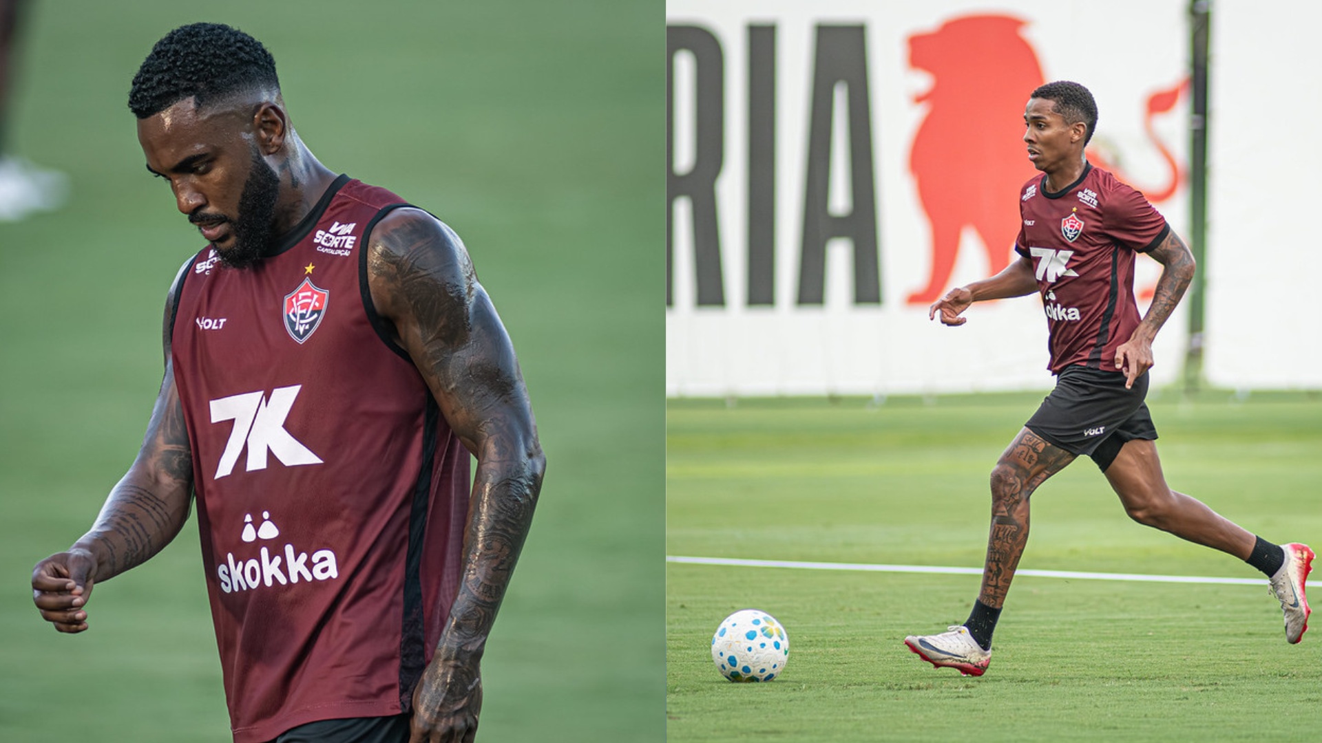 image para ilustrar o artigo