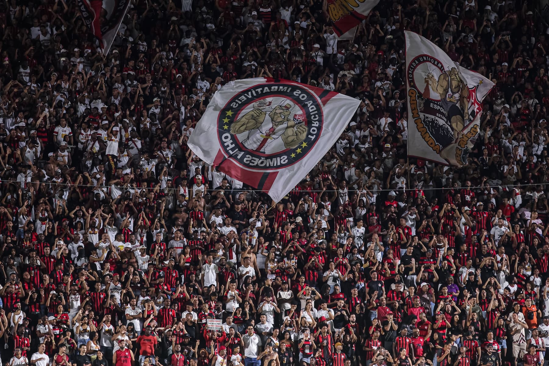 image para ilustrar o artigo