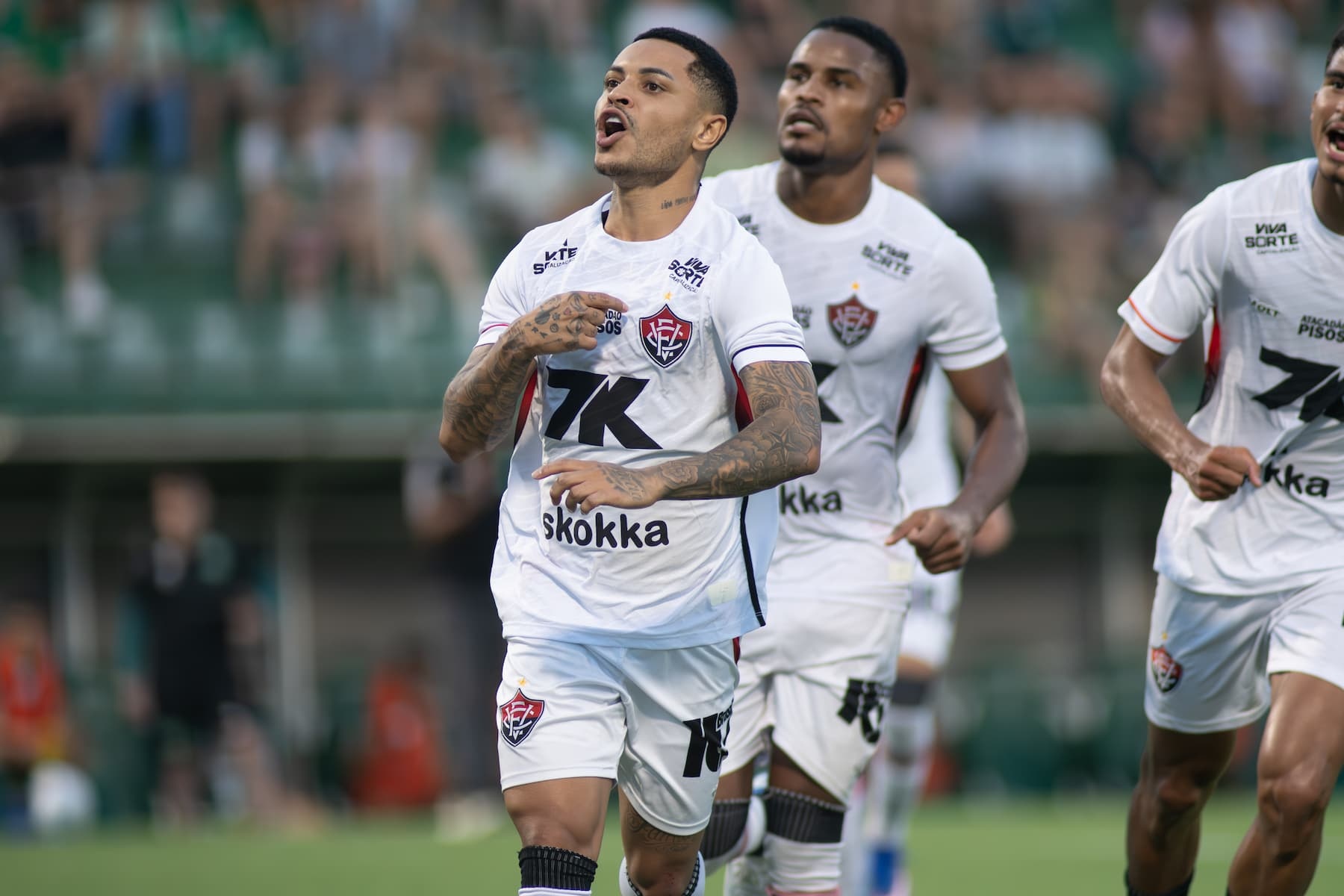 image para ilustrar o artigo