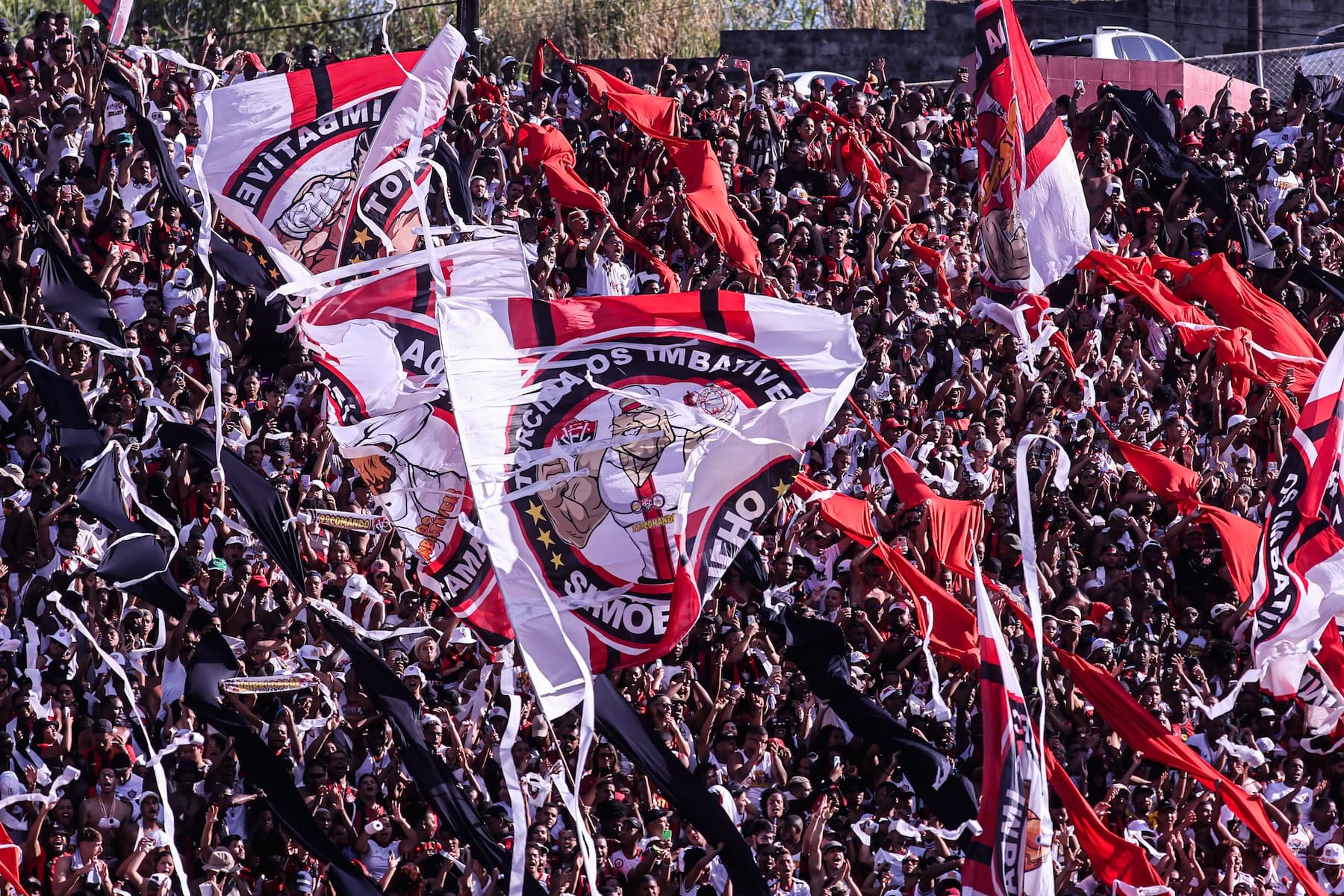 image para ilustrar o artigo