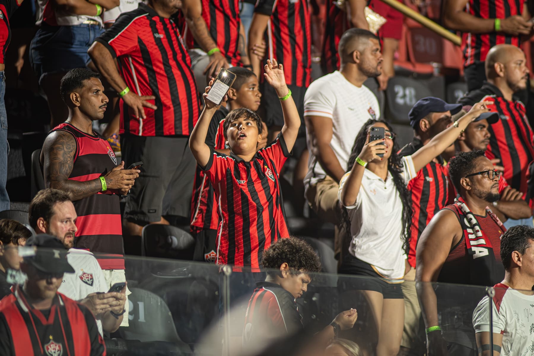 image para ilustrar o artigo