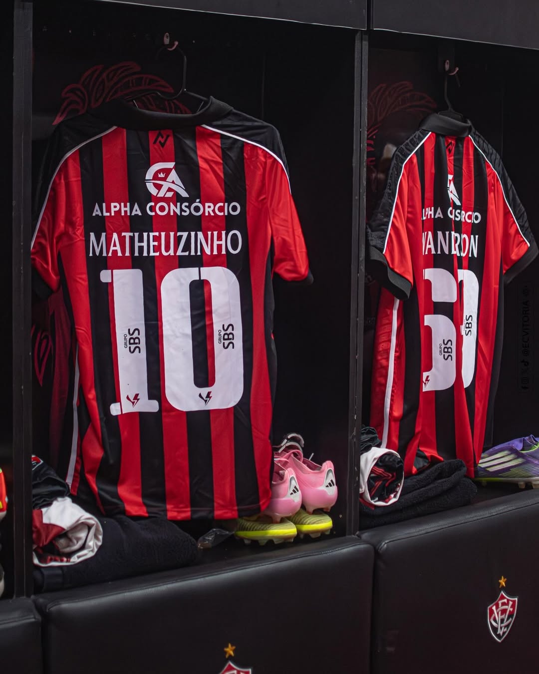 image para ilustrar o artigo