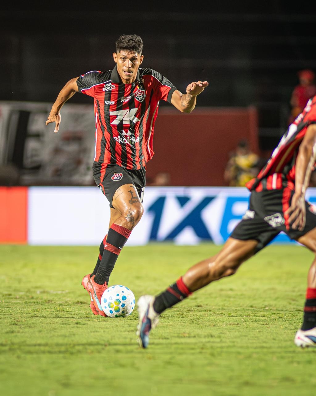 image para ilustrar o artigo