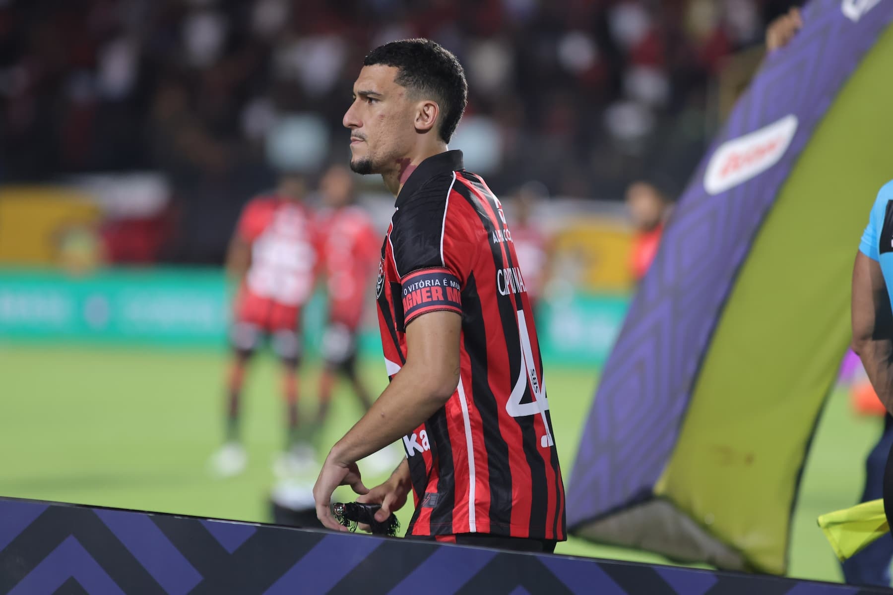 image para ilustrar o artigo