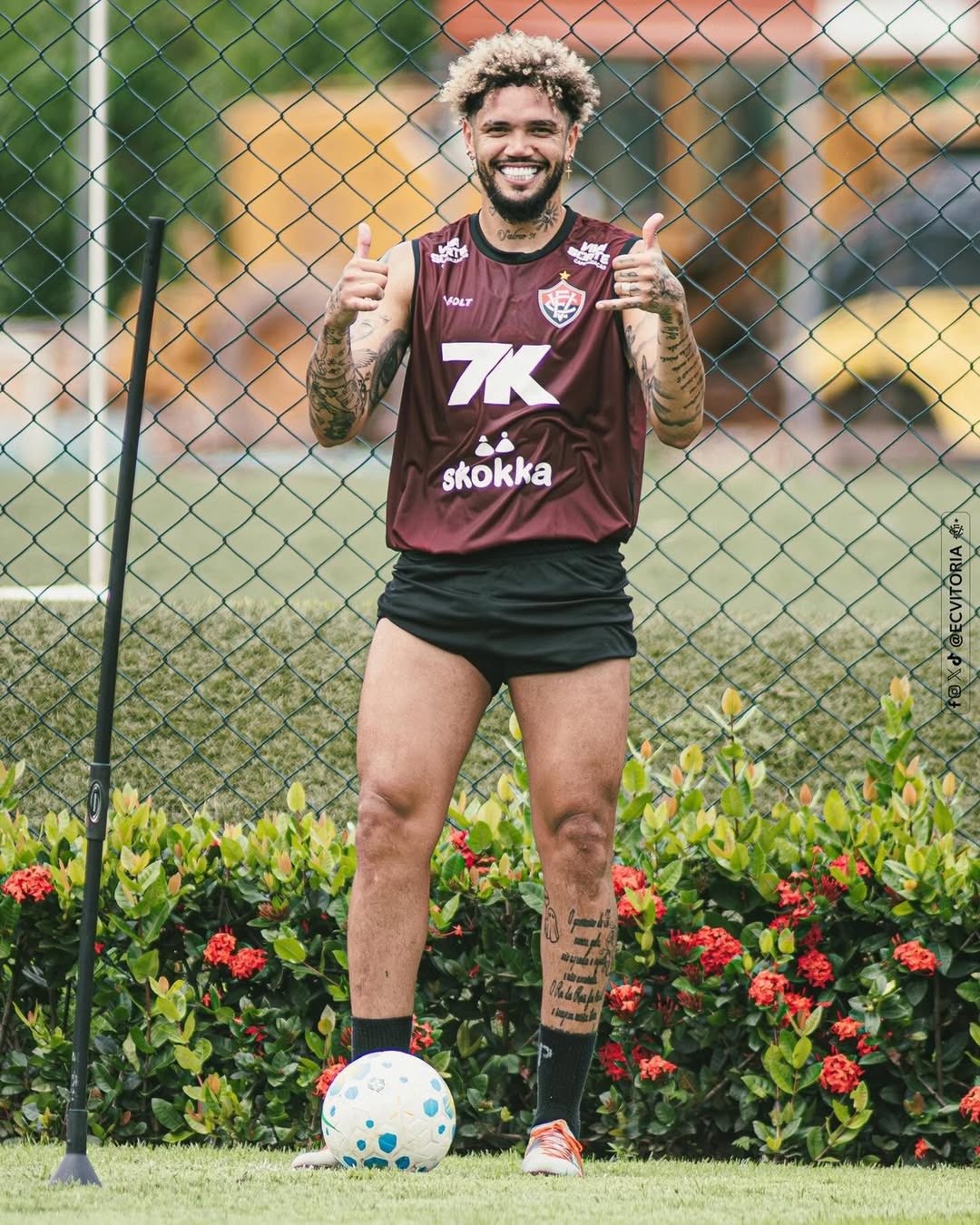 image para ilustrar o artigo