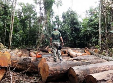 Quase 90% do desmatamento da Amazônia em Mato Grosso nos últimos 12 anos foi ilegal
