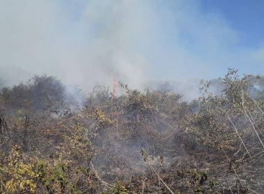 Com fogo e desmatamento, Amazônia e Pantanal perdem 3 estados do RJ no ano
