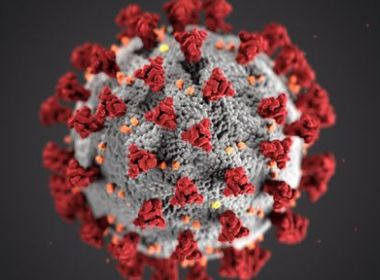 Contra variante delta, SP estuda antecipar aplicação de 2ª dose de vacina contra Covid