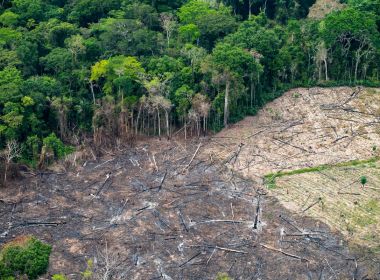 Brasil tem 2º pior ano de desmate da Amazônia da história recente, aponta Inpe