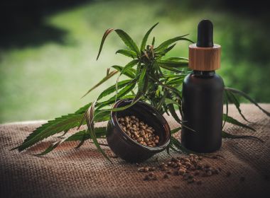 Cresce prazo da Anvisa para autorizar importação de cannabis com fins medicinais