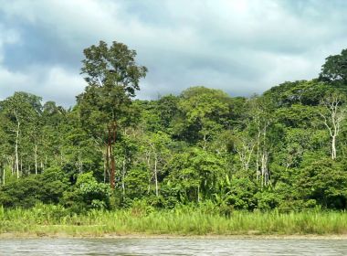 Brasil anuncia meta de reduzir em 50% a emissão de gases poluentes até 2030