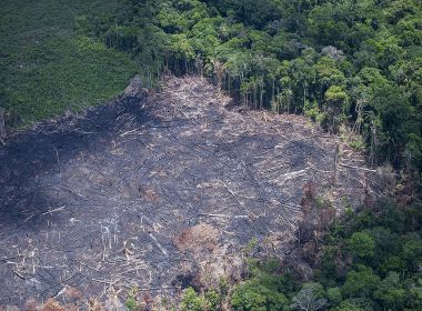Governo Bolsonaro fiscalizou menos de 3% dos alertas de desmatamento no país