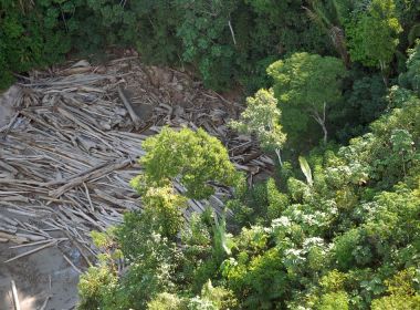 Amazônia registra desmatamento de 2.000 campos de futebol por dia em 2022