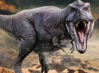 Novo estudo contesta teoria de que o tiranossauro possuía três espécies