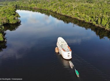 Erro judicial 'salva' Unidade de Conservação da Amazônia de extinção