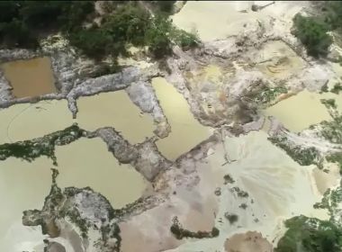 Com quase 80% da floresta amazônica devastada, Maranhão tem o desafio de recuperá-la