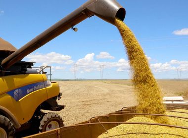 IBGE estima safra recorde de 261,9 milhões de toneladas em 2022