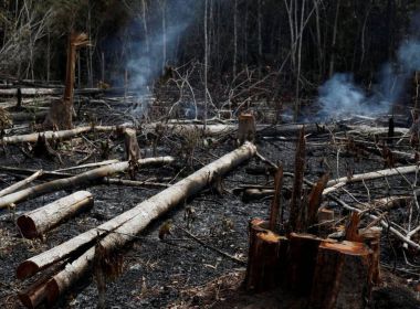 Não há diplomacia possível com governo que destrói Amazônia, diz especialista