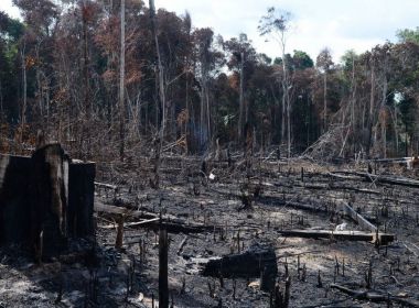 Relatório aponta assassinatos e impunidade na Amazônia