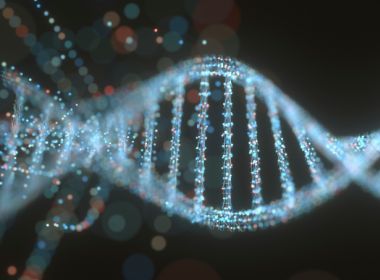 Retrato falado de primo extinto do ser humano é feito a partir de modificações do DNA