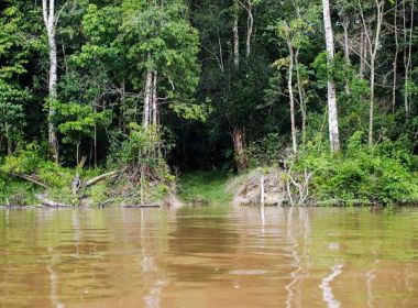 Plataforma investe R$ 4,8 milhões em negócios de impacto na Amazônia
