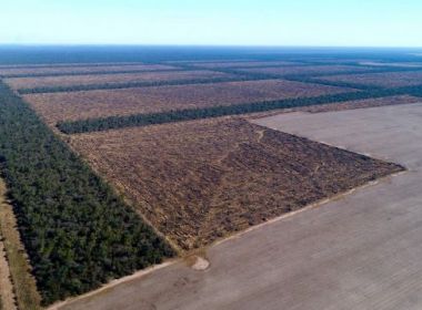 Contaminação da água e desmatamento avançam na Argentina