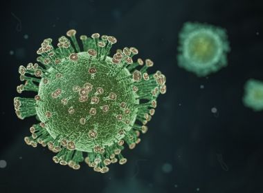 Pesquisadores começam a decifrar identidade do novo coronavírus no Brasil