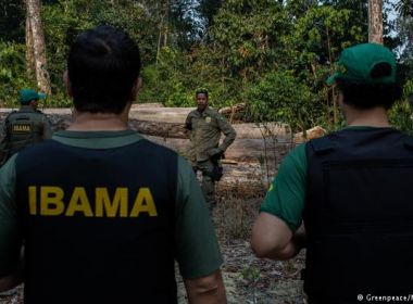Fiscais do Ibama podem ser exonerados após operação contra garimpo na Amazônia